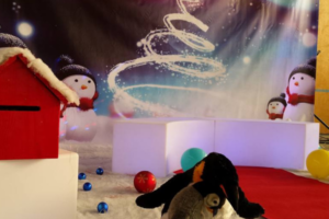 un espace pere noel avec des bancs lumineux, des pingouins en peluche, des boules de noel, une boite au lettre rouge